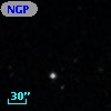 NGPFG 29509