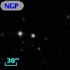 NGPFG 29446