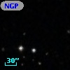 NGPFG 29421