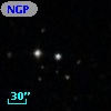 NGPFG 29423