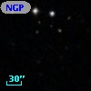 NGPFG 29427