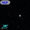 NGPFG 29480