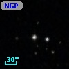 NGPFG 29388