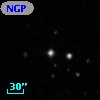 NGPFG 29389