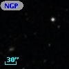 NGPFG 29469