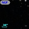 NGPFG 29365