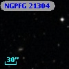 NGPFG 21304