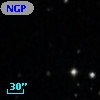 NGPFG 29307