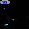 NGPFG 31372