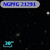 NGPFG 21291