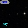 NGPFG 29291