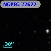 NGPFG 22677