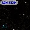 LDN 1239