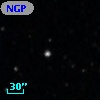NGPFG 29266