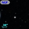 NGPFG 29247