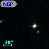 NGPFG 29339