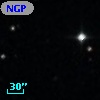 NGPFG 29319