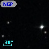 NGPFG 29304
