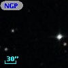 NGPFG 29305