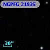 NGPFG 21835