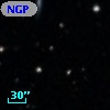 NGPFG 29199
