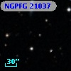NGPFG 21037