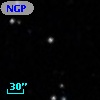 NGPFG 31137
