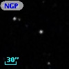 NGPFG 31117