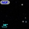 NGPFG 31061