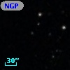 NGPFG 29104