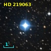 HD 219063