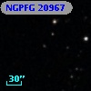 NGPFG 20967