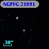 NGPFG 21891