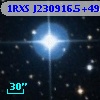 1RXS J230916.5+493849