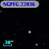 NGPFG 22036