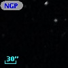 NGPFG 28953