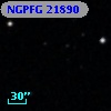 NGPFG 21890