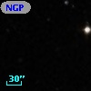 NGPFG 28799