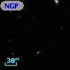 NGPFG 31001