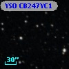 YSO CB247YC1