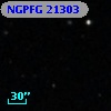 NGPFG 21303