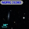 NGPFG 21203