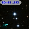 BD+65  1973