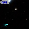 NVSS J125640+315535