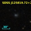 GMP 4333