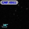 GMP 4981