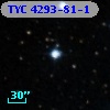 TYC 4293-81-1