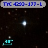 TYC 4293-177-1