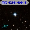 TYC 4293-490-1