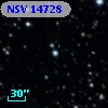 NSV 14728